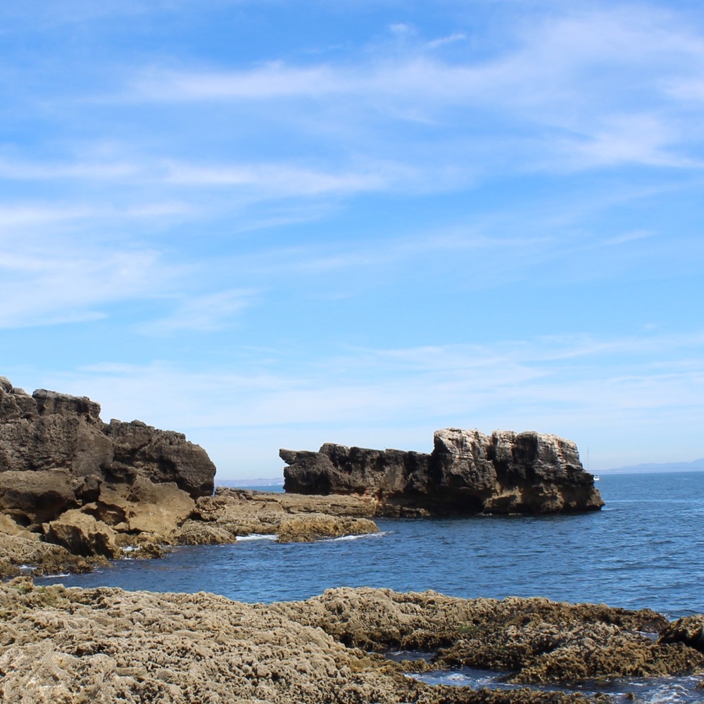 Meet your Posher, Grace anne